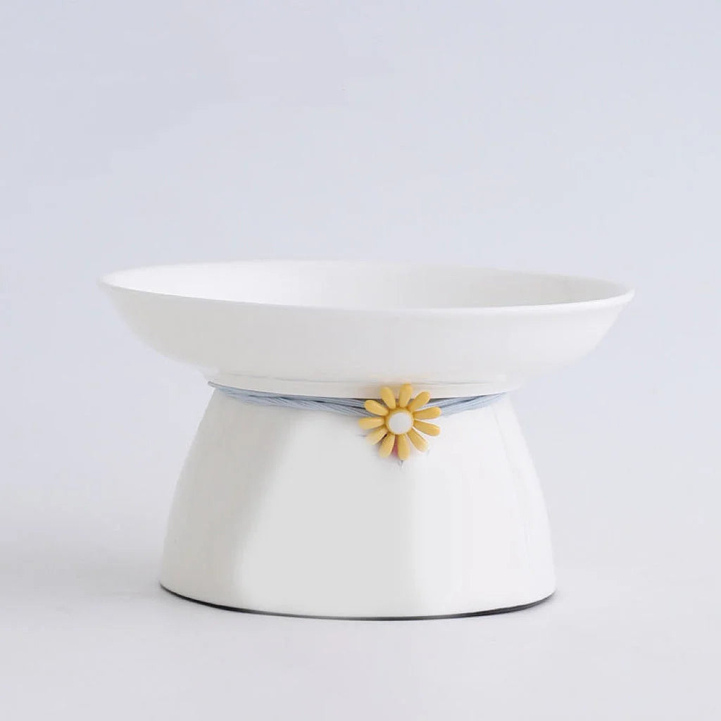 Ceramic Bowl for cat