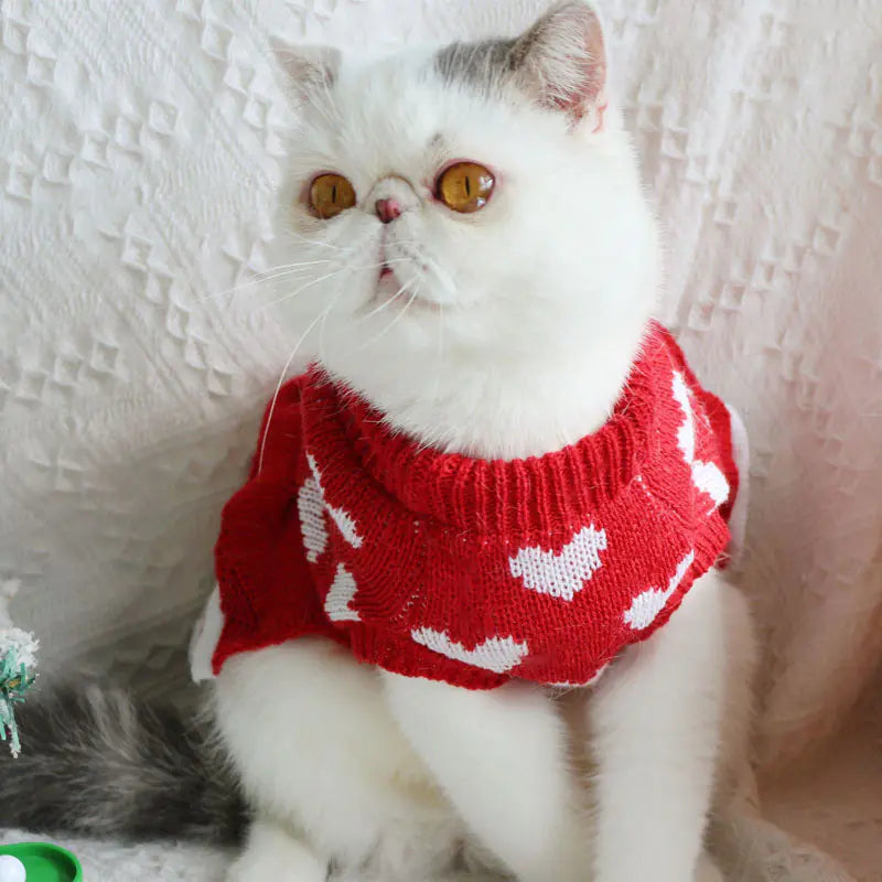 Festive Princess Dress Sweater for cat at Christmas