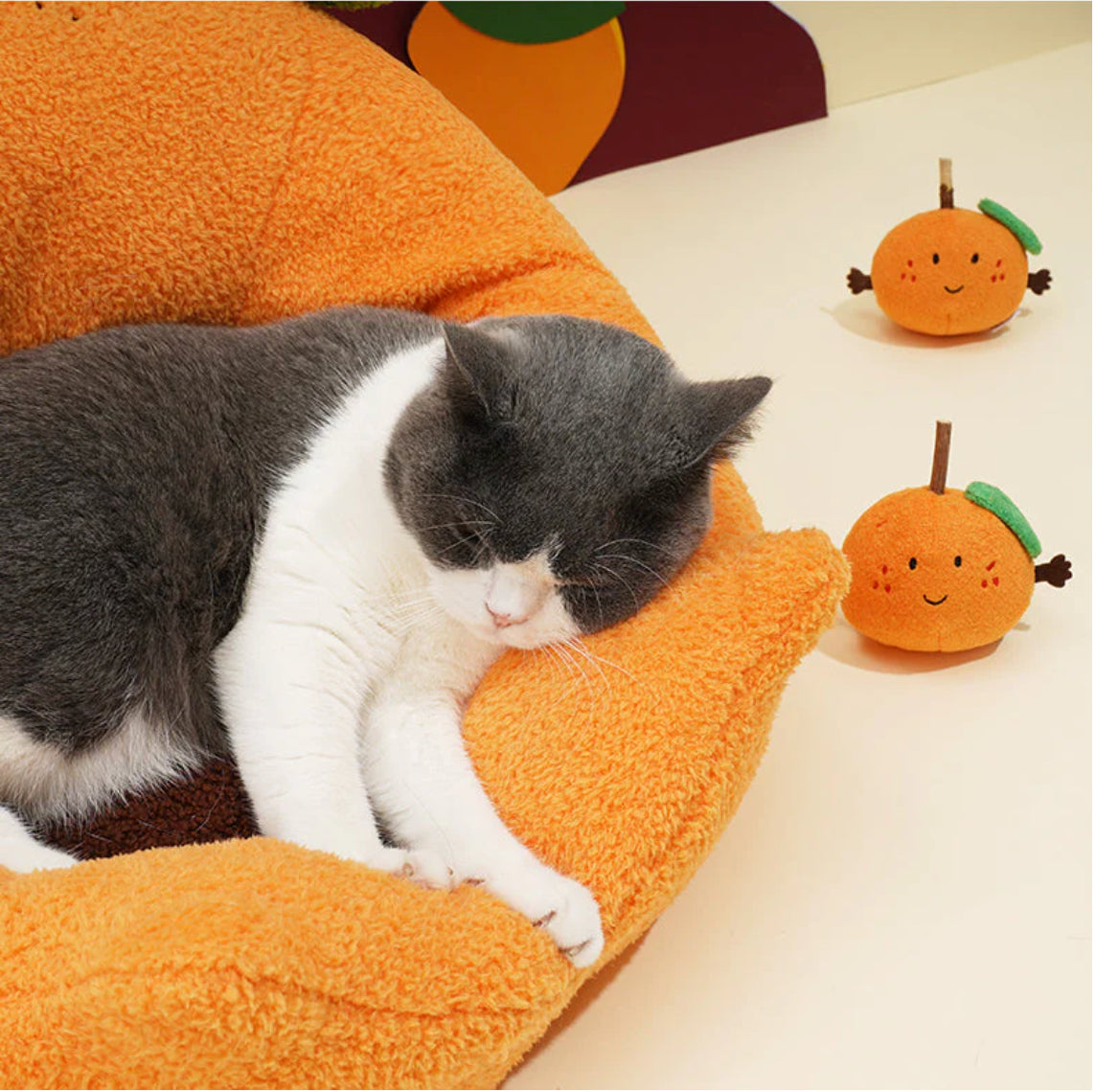Cat bed