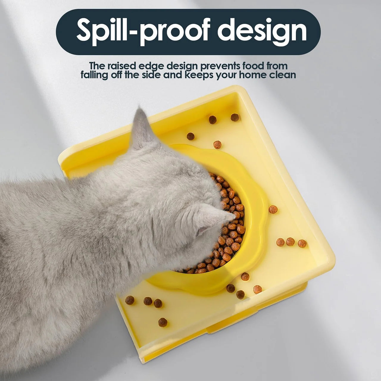 Cat Bowls Elevated Whisker Friendly