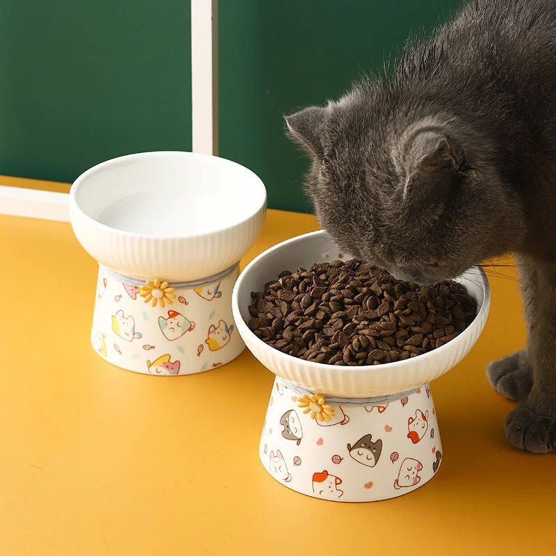 Ceramic Bowl for cat