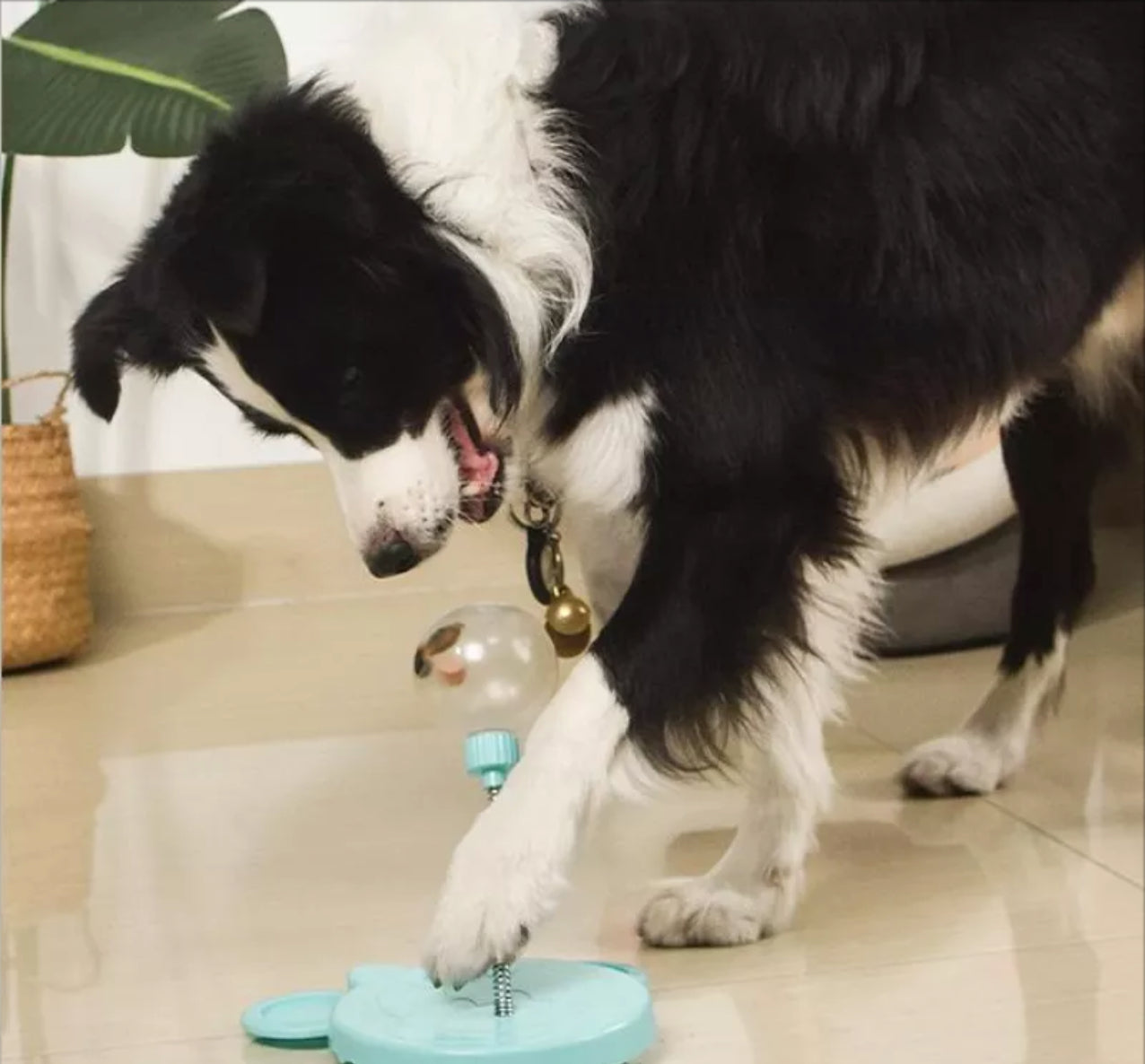 Pet Self-Playing Ball