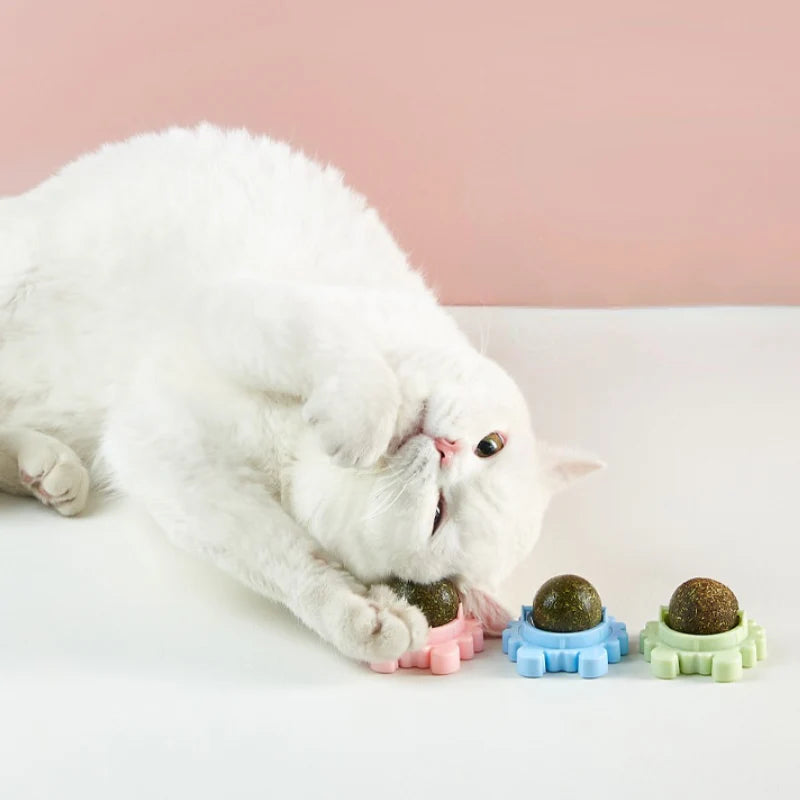 Sale Catnip Ball