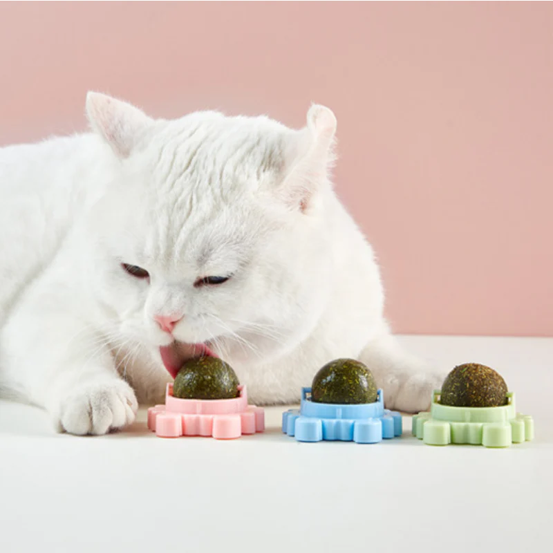 Sale Catnip Ball