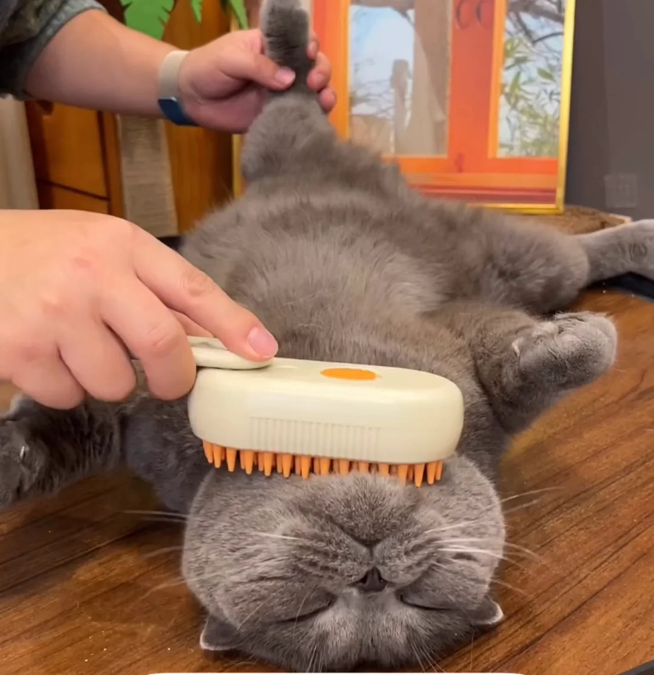 3In1 Water Cat Brush